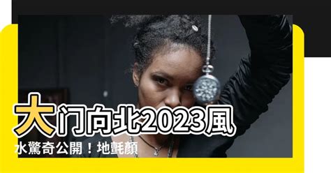 2023年大門地氈顏色